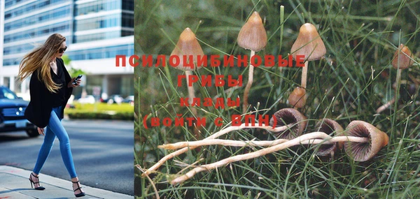 прущая мука Навашино